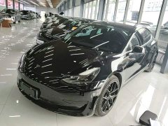 Tesla Model 3 Standard Range RWD Upgrade - ფოტო 1
