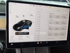 Tesla Model 3 Standard Range RWD Upgrade - ფოტო 12
