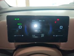Wuling Starlight 730 New Energy PHEV 125km Luxury - ფოტო 12