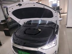 BYD Han 2020 DM AWD Performance Luxury - ფოტო 20