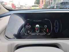 ORA Good Cat 401km Standard Range Luxury LFP - ფოტო 12