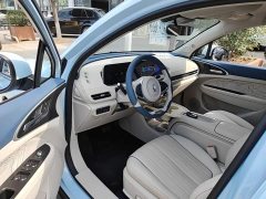 ORA Good Cat 401km Standard Range Luxury LFP - ფოტო 15