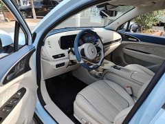 ORA Good Cat 401km Standard Range Luxury LFP - ფოტო 16