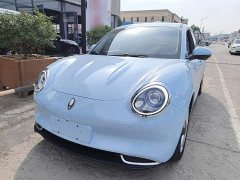 ORA Good Cat 401km Standard Range Luxury LFP - ფოტო 2