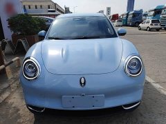 ORA Good Cat 401km Standard Range Luxury LFP - ფოტო 3