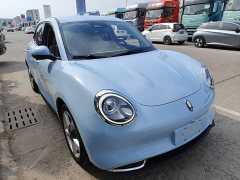 ORA Good Cat 401km Standard Range Luxury LFP - ფოტო 4