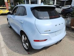 ORA Good Cat 401km Standard Range Luxury LFP - ფოტო 5