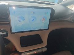 BYD Dolphin 420km Fashion Edition - ფოტო 13