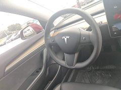 Tesla Model 3 Standard Range RWD Upgrade - ფოტო 11