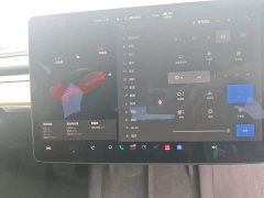 Tesla Model 3 Standard Range RWD Upgrade - ფოტო 13
