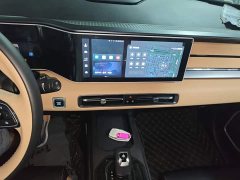 Geely ICON 1.5TD Chocolate Elegant Edition - ფოტო 13