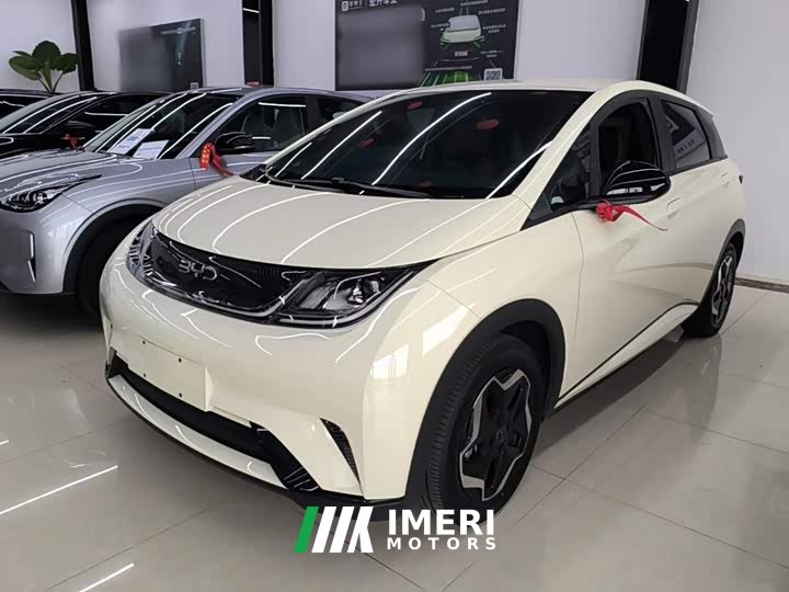 BYD Dolphin 2024 Glory Edition 420km Freedom Version - ავტომობილი ჩინეთიდან