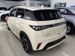 BYD Dolphin 2024 Glory Edition 420km Freedom Version - ფოტო 5