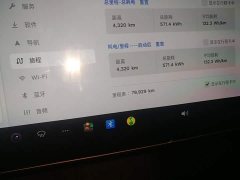 Tesla Model 3 Standard Range RWD Upgrade - ფოტო 12