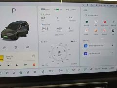 Li Auto L9 Max - ფოტო 12