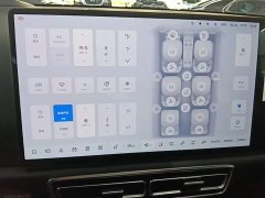 Li Auto L9 Max - ფოტო 13