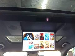 Li Auto L9 Max - ფოტო 18