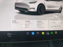 Tesla Model Y Performance All-Wheel Drive - ფოტო 12