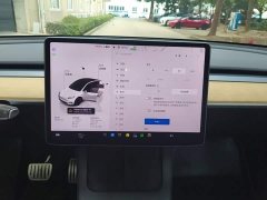 Tesla Model Y Performance All-Wheel Drive - ფოტო 13