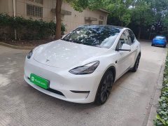 Tesla Model Y Performance All-Wheel Drive - ფოტო 2
