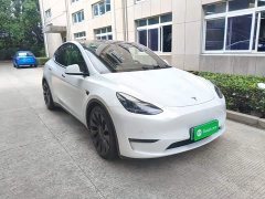 Tesla Model Y Performance All-Wheel Drive - ფოტო 4