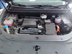 BYD Song Pro New Energy DM-i 71KM Glory Edition Leading - ფოტო 20