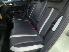 Tank 300 City Edition 2.0T Stylish - ფოტო 17