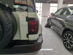 Tank 300 City Edition 2.0T Stylish - ფოტო 8
