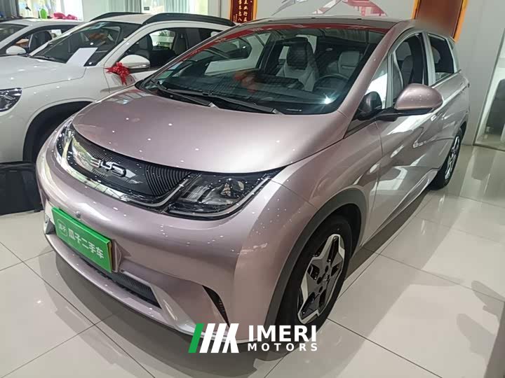 BYD Dolphin 405km Fashion Edition - ავტომობილი ჩინეთიდან