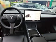 Tesla Model Y 2024 Rear-Wheel Drive - ფოტო 10