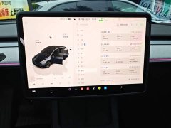 Tesla Model Y 2024 Rear-Wheel Drive - ფოტო 13