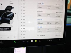 Tesla Model Y Rear-Wheel Drive - ფოტო 12