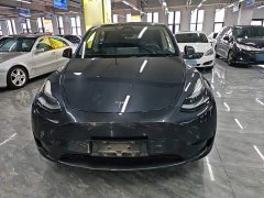 Tesla Model Y Rear-Wheel Drive - ფოტო 3