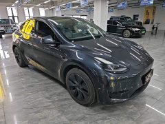 Tesla Model Y Rear-Wheel Drive - ფოტო 4