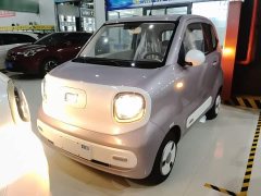 FAW Besturn Xiaoma 222km Cute Horse Plus - ფოტო 3