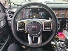 Tank 300 Off-Road Edition 2.0T Conqueror - ფოტო 11