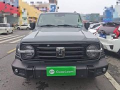 Tank 300 Off-Road Edition 2.0T Conqueror - ფოტო 3