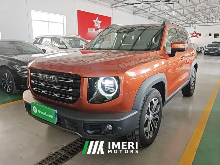 Great Wall Dachshund 1.5T DCT Two-Wheel Drive Border Collie Edition