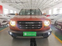 Great Wall Dachshund 1.5T DCT Two-Wheel Drive Border Collie Edition - ფოტო 3