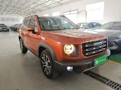 Great Wall Dachshund 1.5T DCT Two-Wheel Drive Border Collie Edition - ფოტო 4