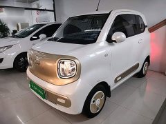 FAW Besturn Xiaoma 222km Agile Edition - ფოტო 1