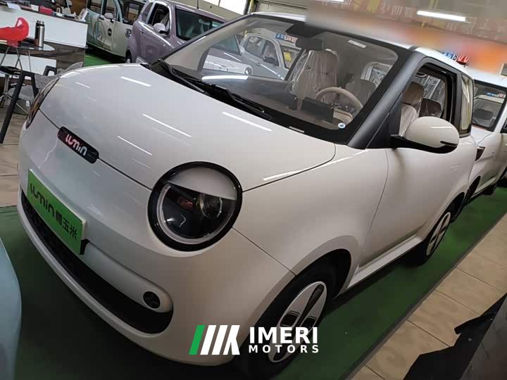 Changan Lumin Treasure Edition 205km Cool Love White CATL