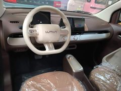 Changan Lumin Treasure Edition 205km Cool Love White CATL - ფოტო 10