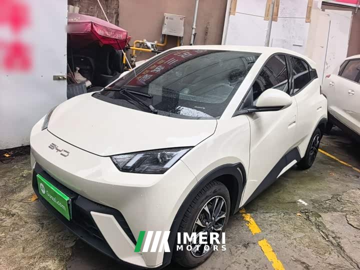 BYD Seagull Glory Edition 305km Vitality Version - ავტომობილი ჩინეთიდან
