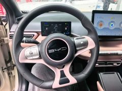 BYD Seagull Glory Edition 305km Vitality Version - ფოტო 11