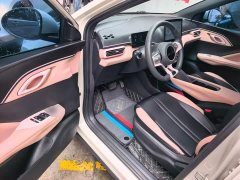 BYD Seagull Glory Edition 305km Vitality Version - ფოტო 16