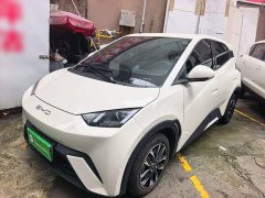 BYD Seagull Glory Edition 305km Vitality Version - ფოტო 2