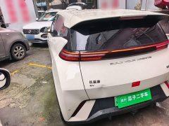 BYD Seagull Glory Edition 305km Vitality Version - ფოტო 5