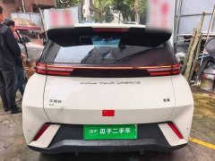 BYD Seagull Glory Edition 305km Vitality Version - ფოტო 6