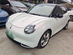 ORA Good Cat 401km Standard Range Luxury LFP - ფოტო 1